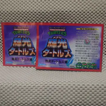 메탈 터틀즈 미켈란젤로 레오나르도 설명서 세트