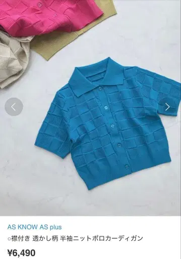 AS KNOW AS plus 시스루 패턴 반팔 폴로 가디건 파랑