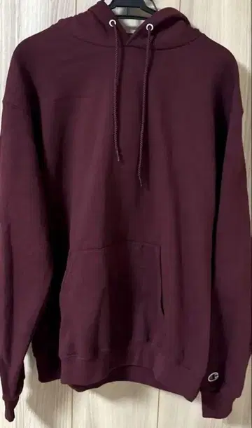 Champion HOODED 오버 사이즈 풀오버 후드티