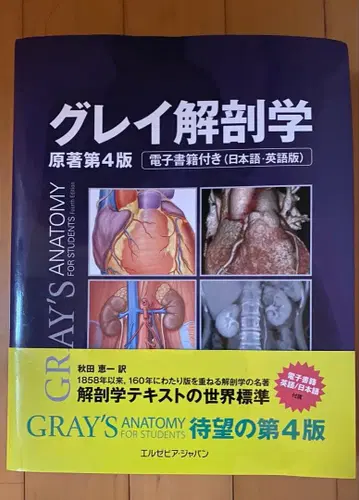 그레이 해부학 원저 제4판 전자책 포함