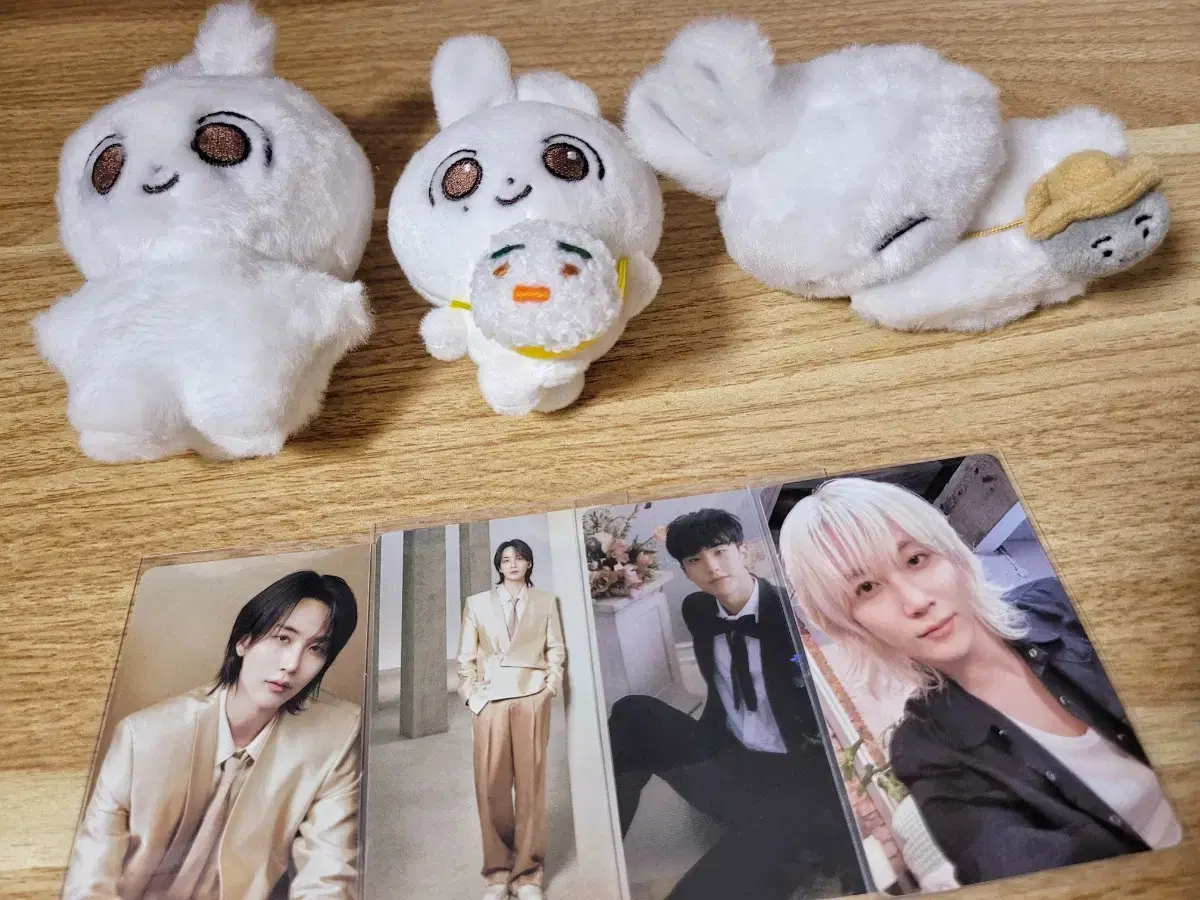 Seventeen Jeonghan Jjongmoji Hanipjjong Nuppjjong bulk wts (individual XX)
