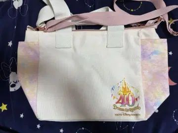 디즈니 40주년 백 숄더백