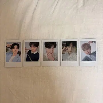 투모로우바이투게더 트레이딩 카드 5장