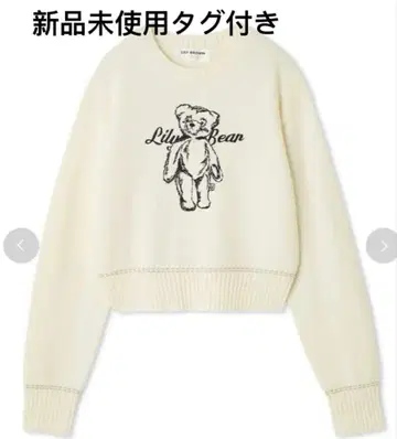 이번 시즌 릴리 브라운 Lily Bear 자수 니트탑