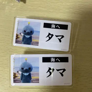 교육 방송 타마 명찰 호메호메 카페