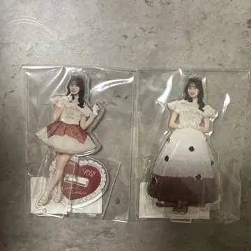 CANDYTUNE 타치바나 코토미 아크릴 스탠드