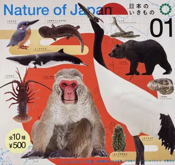NATURE OF JAPAN 일본의 생물 01 전 10종 세트