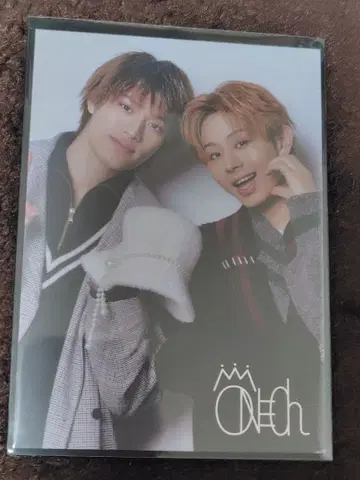 강아지 굿즈 혜택 트레이딩 카드 KENSHIN.EIKU