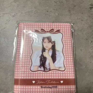 타치바나 코토미 폴라로이드 파일 덤 포함