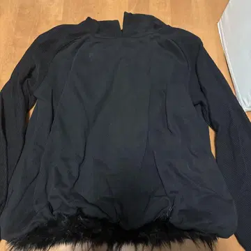 dinoworks egg hoodie