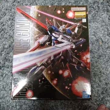 반다이 MG 1/100 포스 임펄스 건담