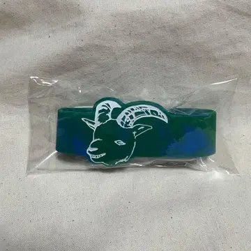 익일 오전 발송 미개봉 새상품 Chevon 러버 밴드 그린