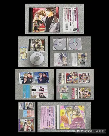 BL CD 묶음 판매
