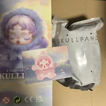 SKULLPANDA 스컬팬더 windflower popmart
