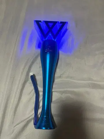 winner 응원봉 후니 승훈 승윤 진우 민호 위너