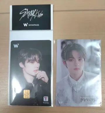 StrayKids 리노 wowpass 스티커 덤 포함