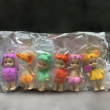 소니 엔젤 펌킨 패치 전 6종 세트