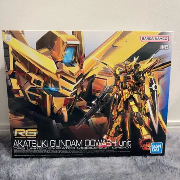 RG AKATSUKI GUNDAM OOWASHI uhit 아카츠키