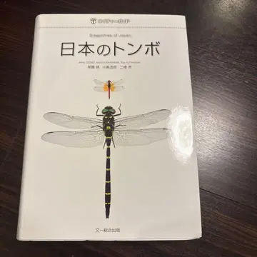 일본의 잠자리