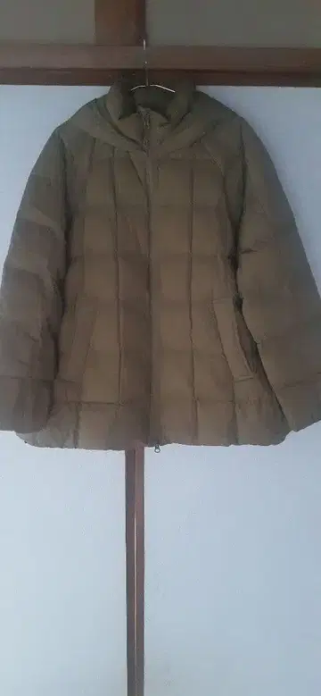 단톤 다운