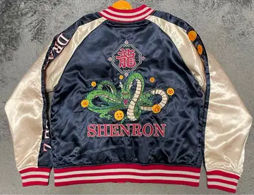 드래곤볼 Z 스카잔