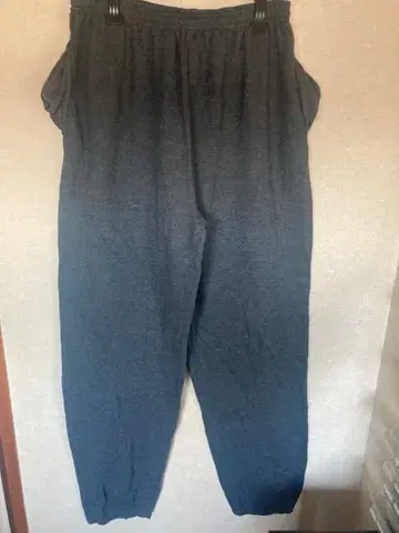 Hanes Premium Ecosmart L 사이즈 그레이