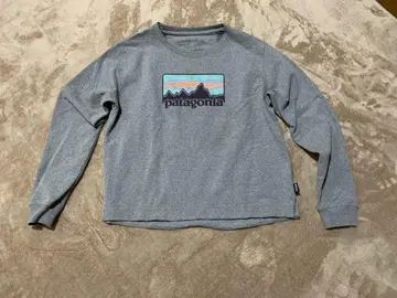 patagonia 업라이저 트레이닝복 남성용 L