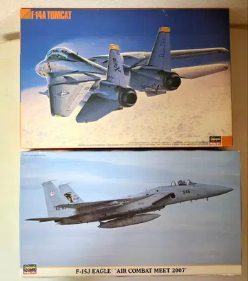 F-14A 톰캣 & F-15J 이글 프라모델 세트