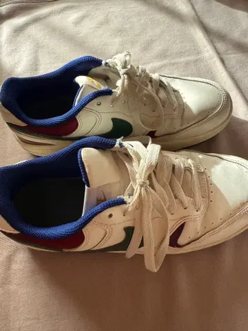 나이키 감마 포스 SUZUKA 모델 한정품 25.5cm NIKE