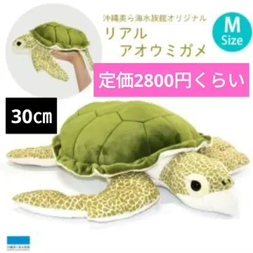 [ 선착순 ] 오키나와 츄라우미 수족관 리얼 아오바다거북 봉제 인형 M