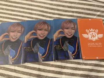 팬더드래곤 타이거 DDP 트레이딩 카드