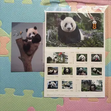 샹샹 8세 생일 기념 110엔 우표 시트와 엽서