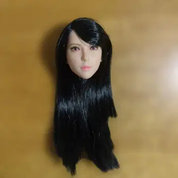 피규어 헤드 1/6