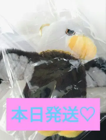 미세스 바벨탑 사용의 새