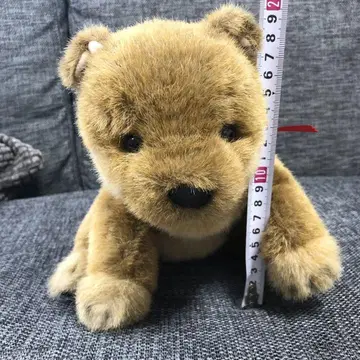 시바견 봉제 인형 사계절 오리지널 포복 버전 SHIKI original
