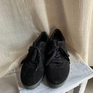 그라프 페이퍼 리프로덕션 오브 파운드 스니커즈 블랙 41 24aw