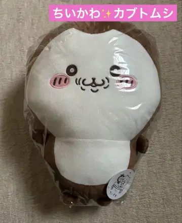 치이카와 (먼작귀) 장수풍뎅이 BIG 봉제 인형