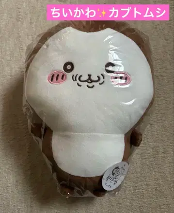 치이카와 (먼작귀) 장수풍뎅이 BIG 봉제 인형