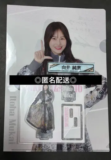 사쿠라자카46 복권 아크릴 스탠드 케이블 클립 클리어 파일 무카이 이토하