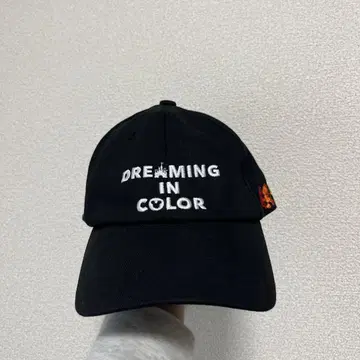 DREAMING IN COLOR 팬캡 디즈니 머리띠