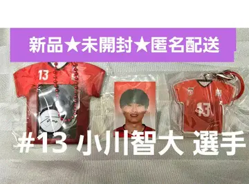 새상품 배구 남자 일본 대표 유니폼 미니 사진 홀더 메지루시 참