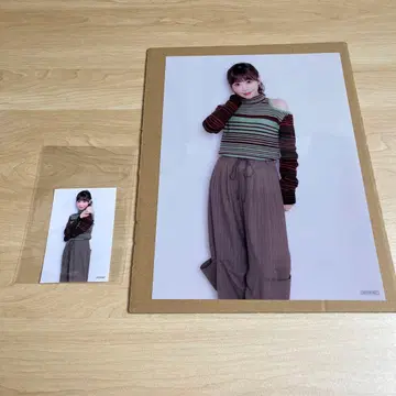 후르츠 지퍼 라쿠텐 북스 혜택 A4 클리어 포스터 사쿠라이 유이