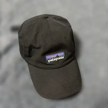 Patagonia 캡 블랙