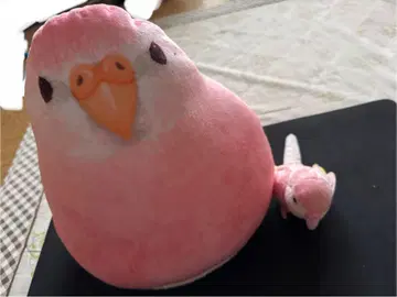 아키쿠사인코 봉제 인형 2세트 택 포함