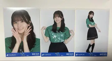 노기자카 브로마이드 스가와라