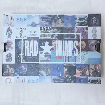 RADWIMPS 20주년 컨버스 스니커즈 24cm