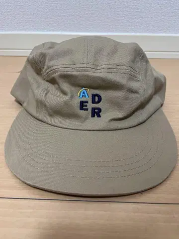 ADER 베이지 캡