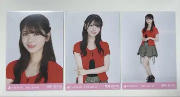 노기자카 브로마이드 츠츠이