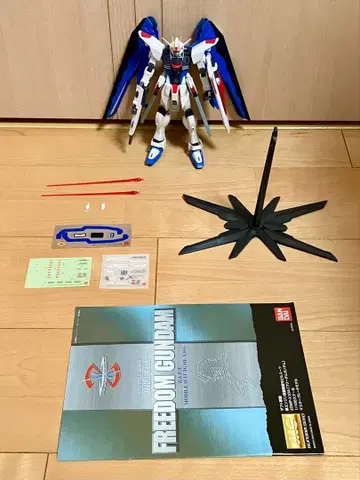 MG 1/100 프리덤 건담 Ver.1.0 조립 완료 정크