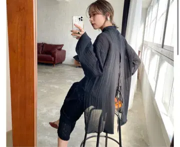 Link / 백 슬릿 포인트 시어 블라우스